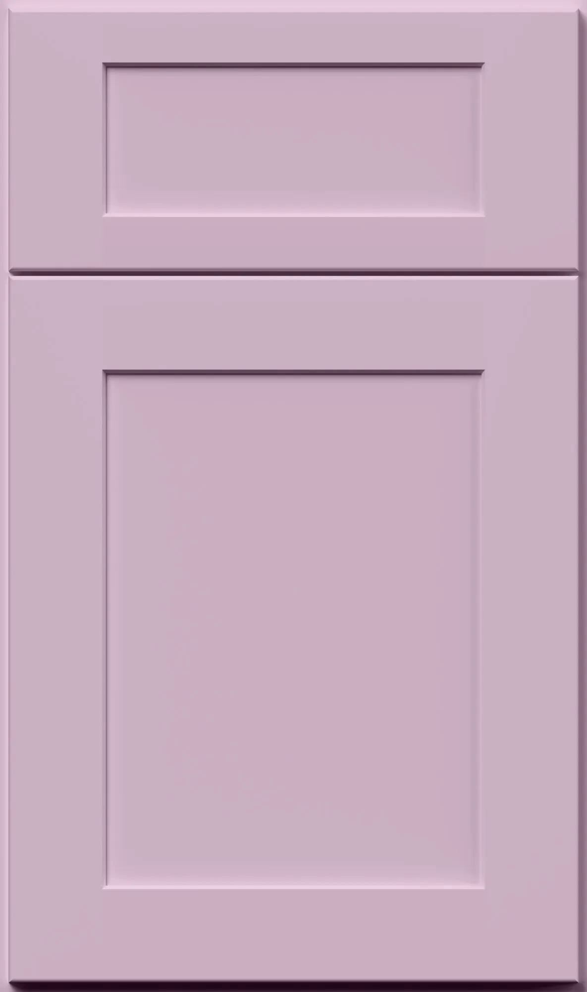 Orchid Purple