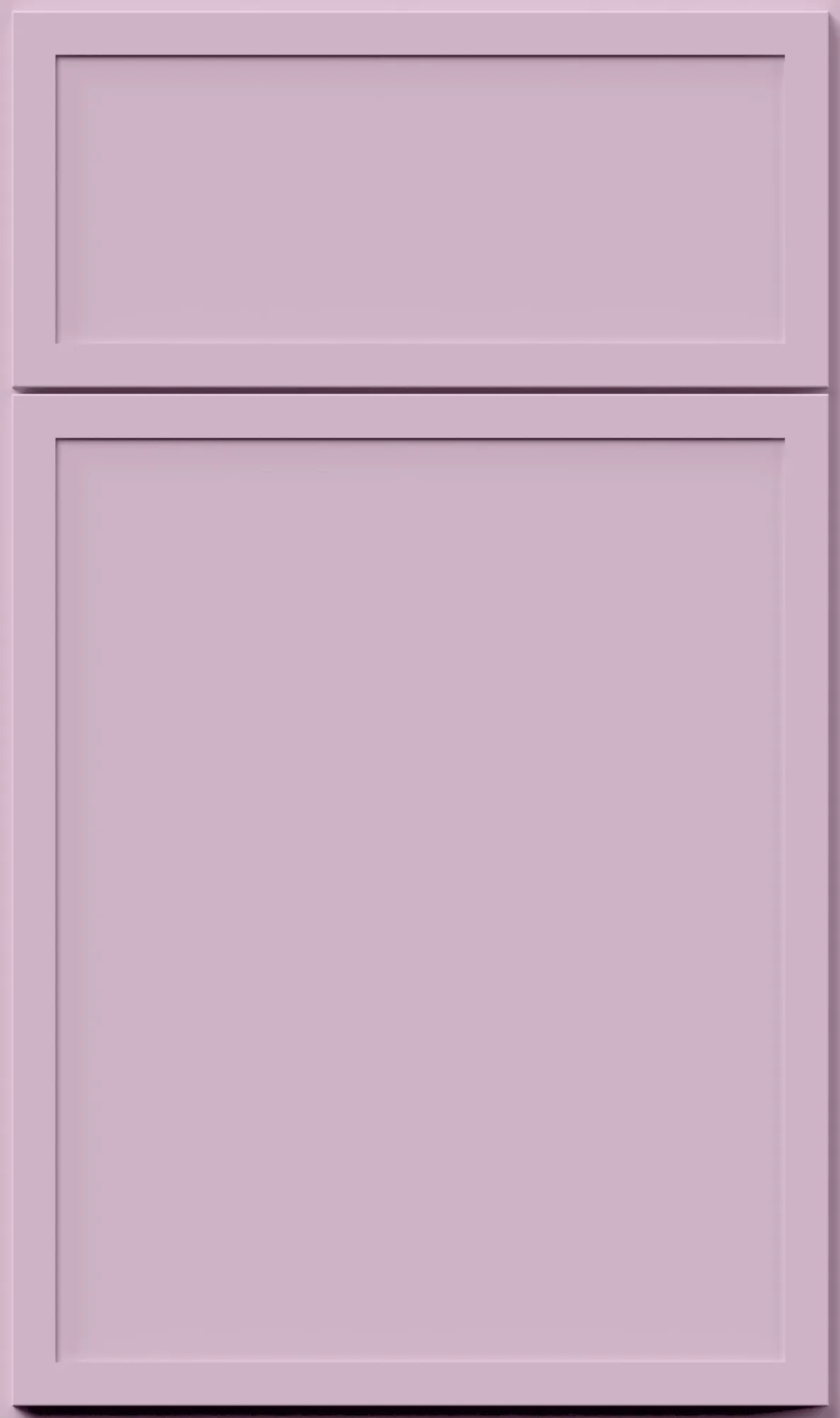 Orchid Purple